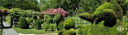 green animals topiary garden newport arboretum ri